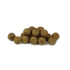 Nikl Ready Giga Squid bojli 20mm 250g