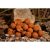 Balaton Baits Fish&Fruits oldódó bojli 22mm 1kg