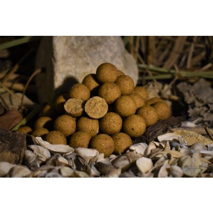 Balaton Baits Maple Nuts bojli 20mm 1kg