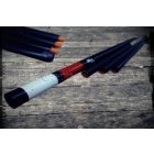 ICC First Class Alkonykapcsolós Dőlőbója Világító Fejjel 6,2m - zöld