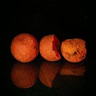 The Kraken Baits Karma Spice Shelf Life Boilie 900g 20mm
