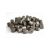 Mivardi Rapid Classic Halibut Pellet 20mm 10kg