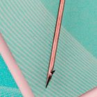 Sedo Boilie Inox Bait Needle Hard fűzőtű