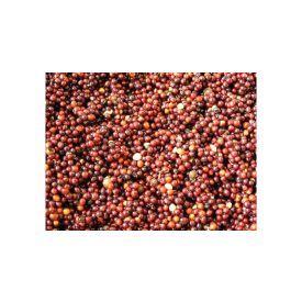 Tóth Mix Forrázott Repce 3kg